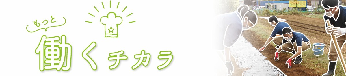 特別支援学校等卒業後の進路・再就労サポートをお考えの方へ